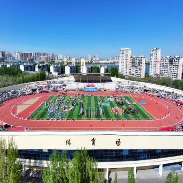 郑钦文红土赛季表现持续引关注